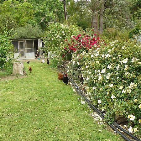 Camawald Coonawarra Cottage B&B Zimmer foto